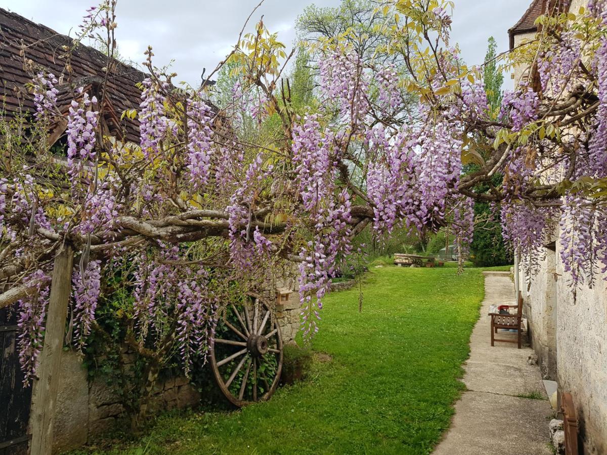 Murat Le Moulin De Jules Et Akasha Bed & Breakfast エクステリア 写真