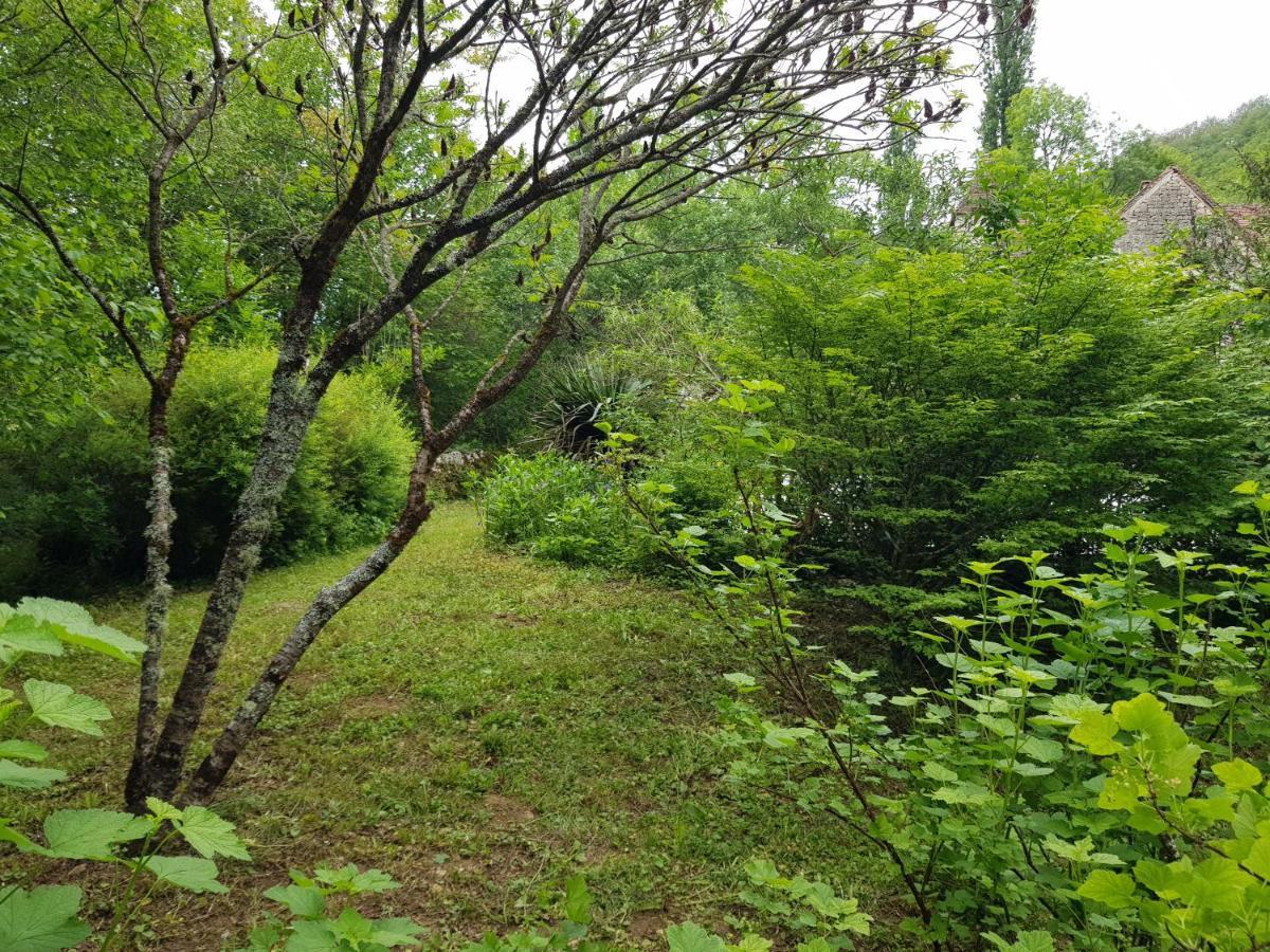Murat Le Moulin De Jules Et Akasha Bed & Breakfast エクステリア 写真