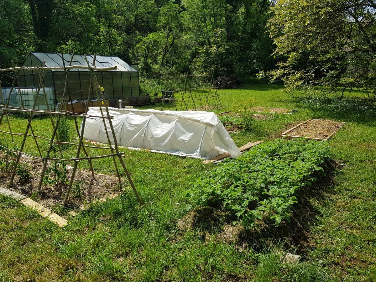 Murat Le Moulin De Jules Et Akasha Bed & Breakfast エクステリア 写真